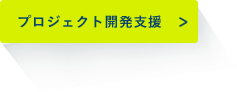 プロジェクト開発支援